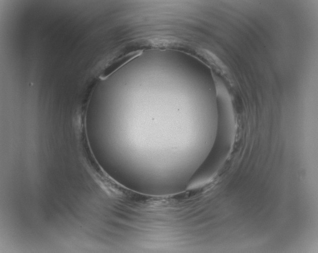 X0000068860405200605192022
