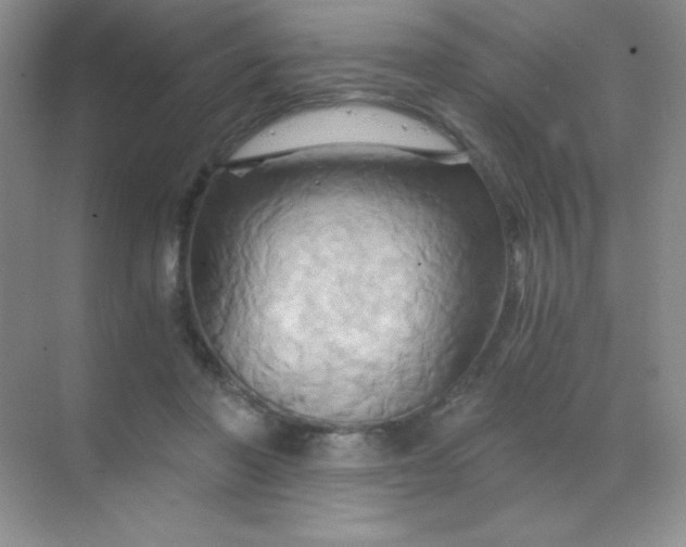 X0000068860406200605192022