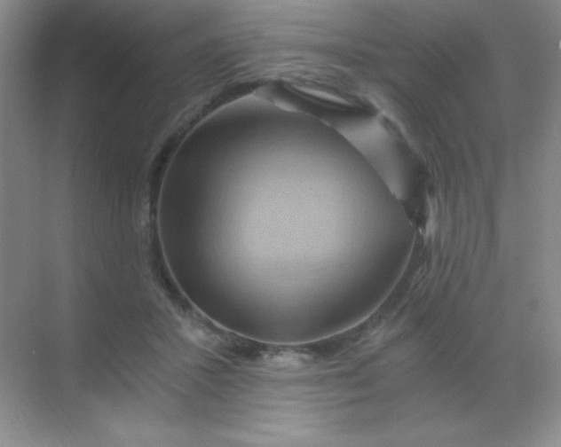 X0000068860407200605192022