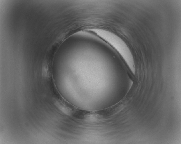 X0000068860408200605192022