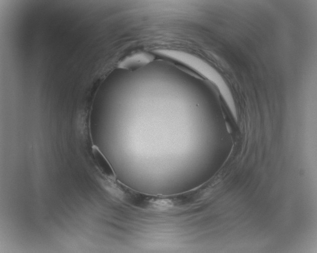 X0000068860409200605192022