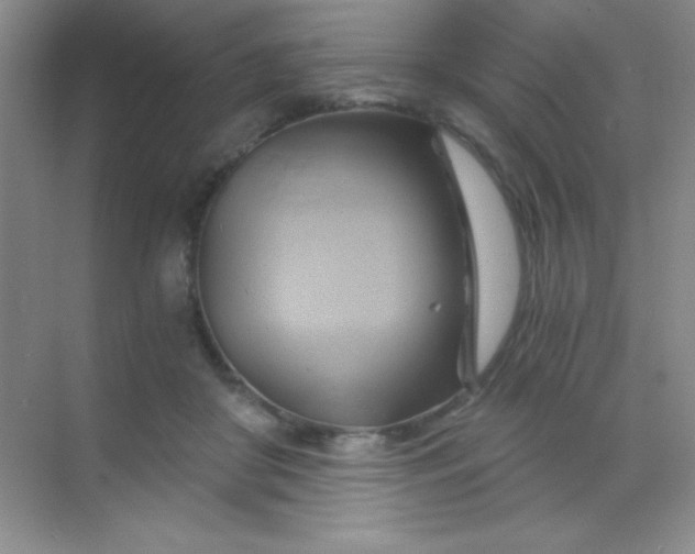 X0000068860410200605192022