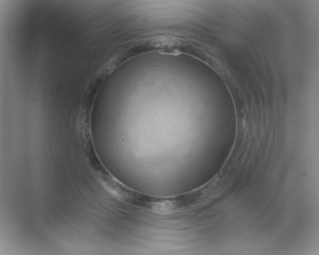 X0000068860411200605192022