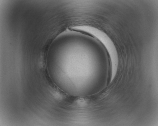X0000068860416200605192022