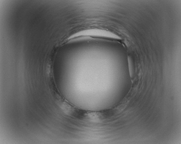 X0000068860417200605192022