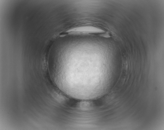 X0000068860418200605192022