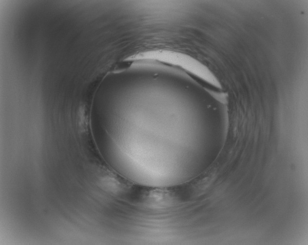 X0000068860420200605192022