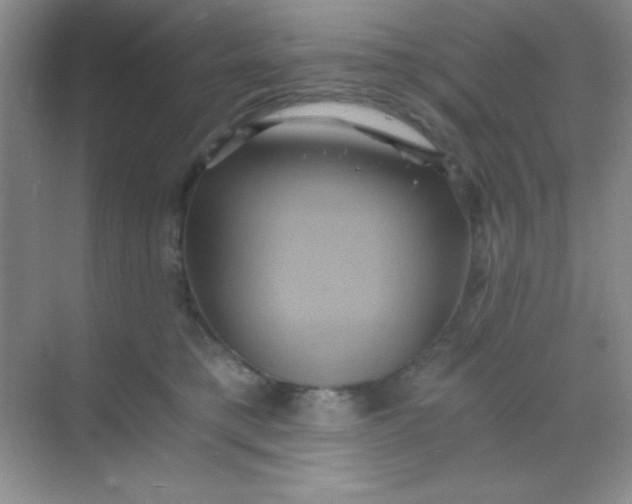 X0000068860421200605192022