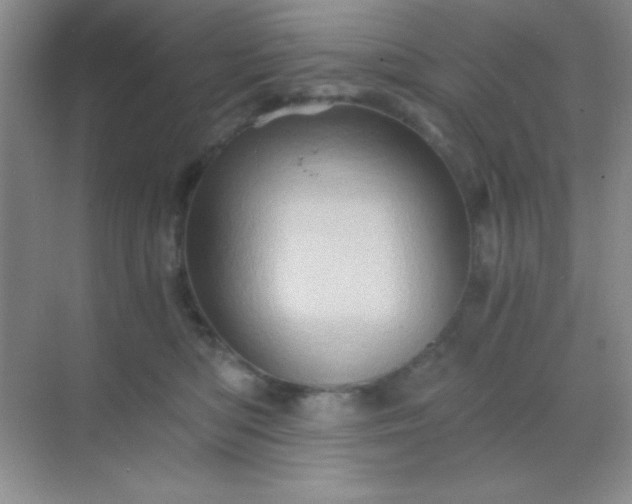 X0000068860422200605192022