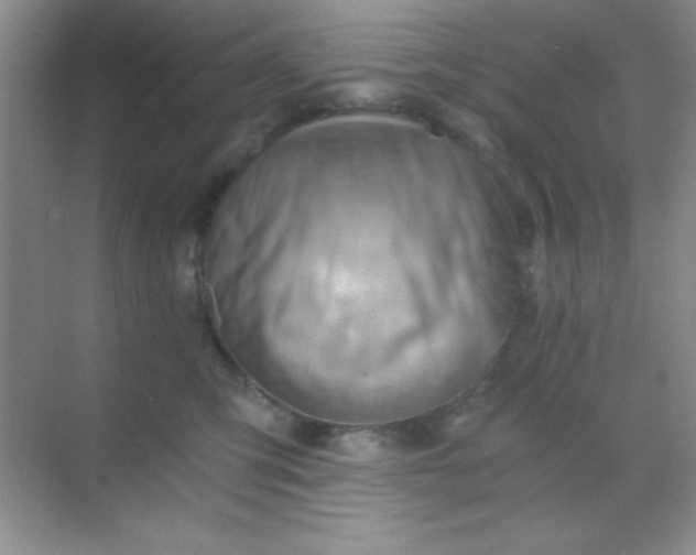 X0000068860423200605192022