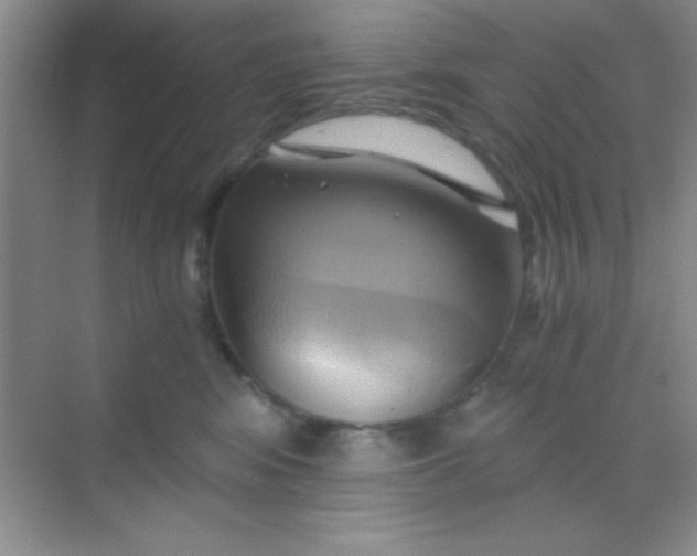 X0000068860424200605192022