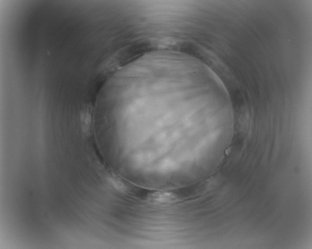 X0000068860427200605192022