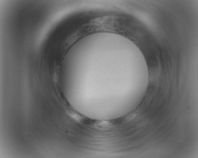 X0000068860431200605192022