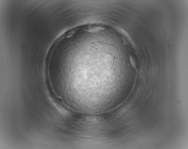 X0000068860439200605192021
