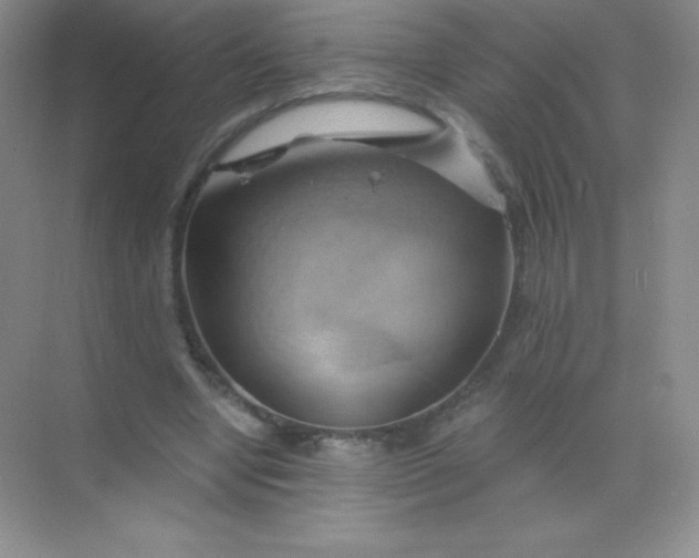 X0000068860442200605192021