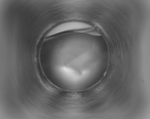 X0000068860443200605192021