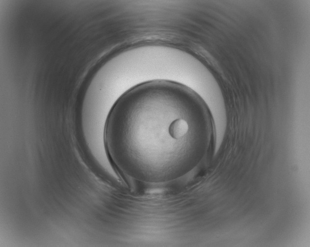 X0000068860444200605192021