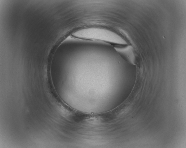 X0000068860447200605192021