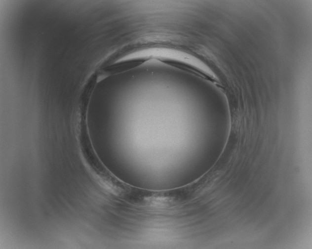 X0000068860448200605192021