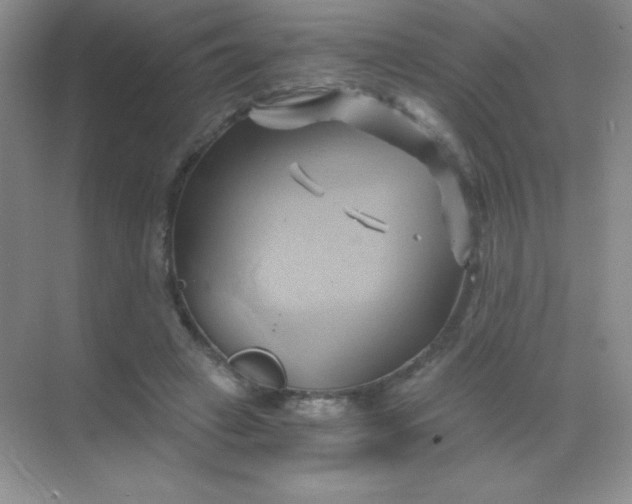 X0000068860449200605192021