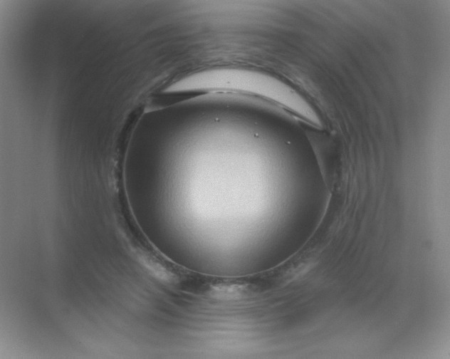 X0000068860450200605192021