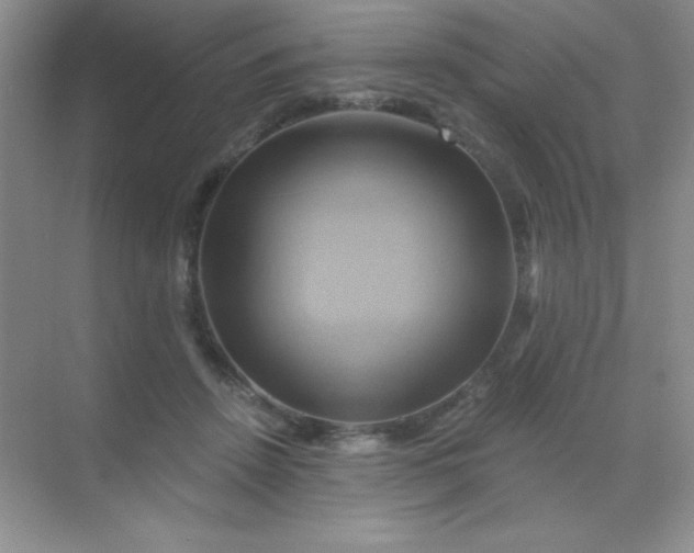 X0000068860456200605192022