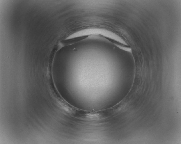 X0000068860457200605192022
