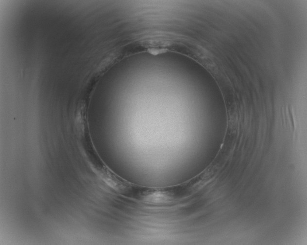 X0000068860460200605192022