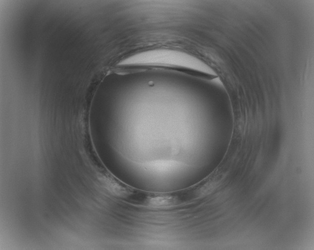 X0000068860461200605192022