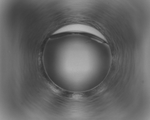 X0000068860462200605192022