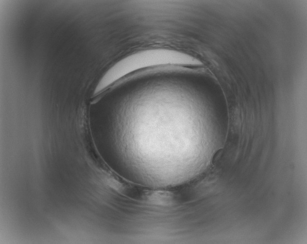 X0000068860463200605192022