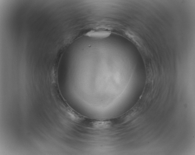 X0000068860465200605192022