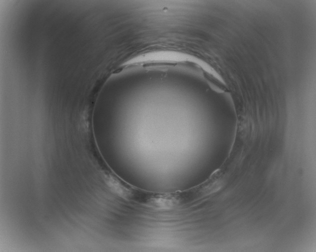 X0000068860466200605192022