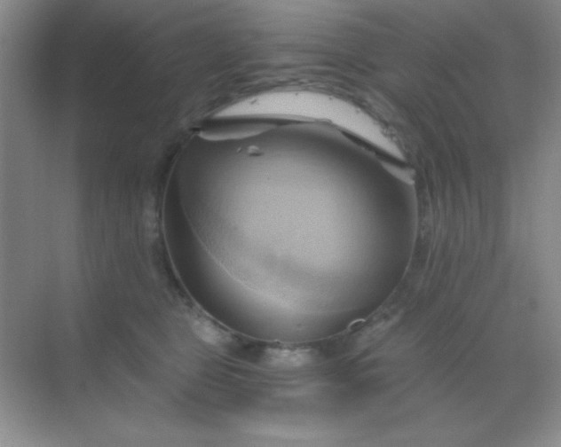 X0000068860469200605192022