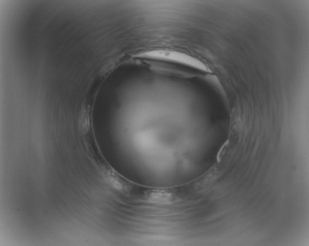 X0000068860471200605192022