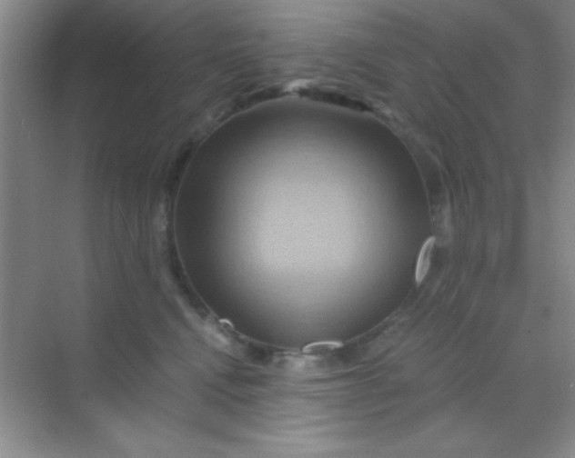 X0000068860472200605192022