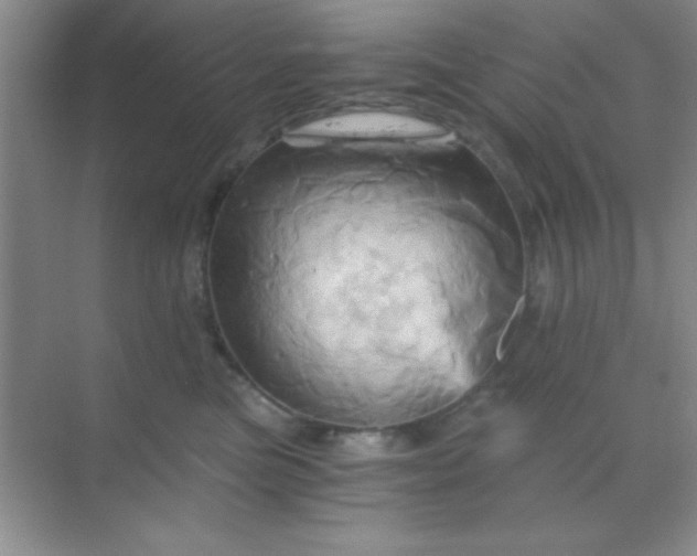 X0000068860473200605192022