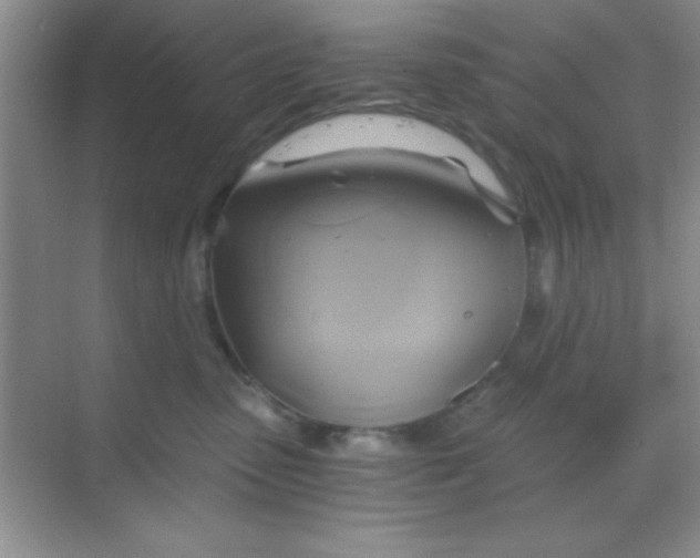 X0000068860475200605192022