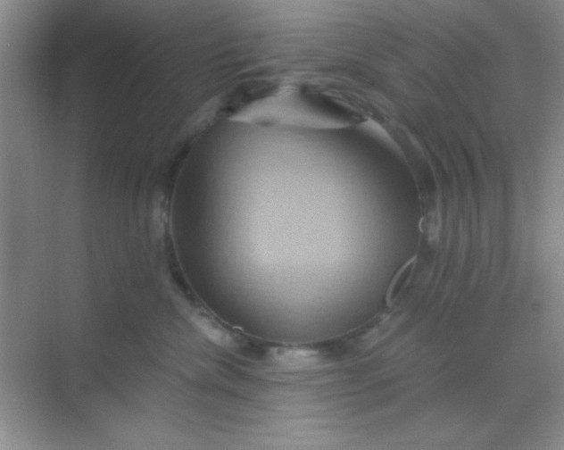 X0000068860476200605192022