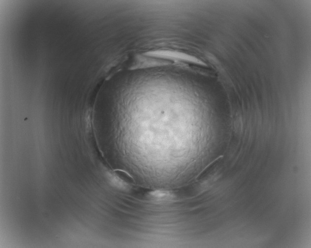 X0000068860477200605192022