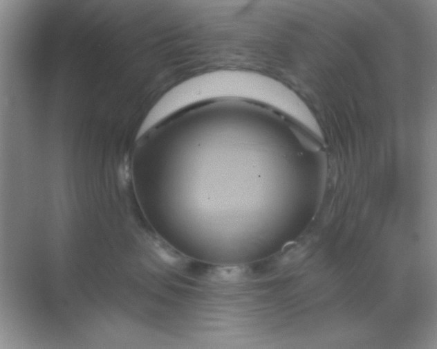 X0000068860479200605192022
