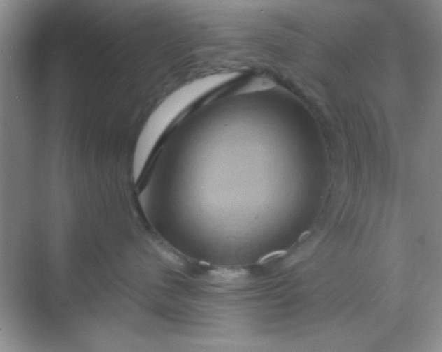 X0000068860480200605192022