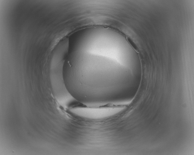 X0000068860481200605192021