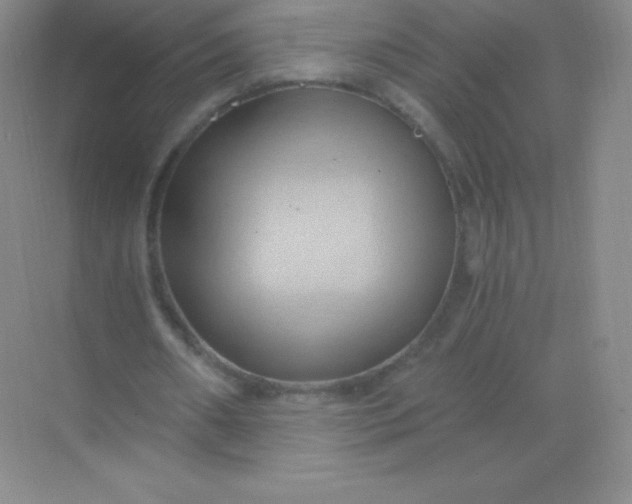 X0000068860482200605192021