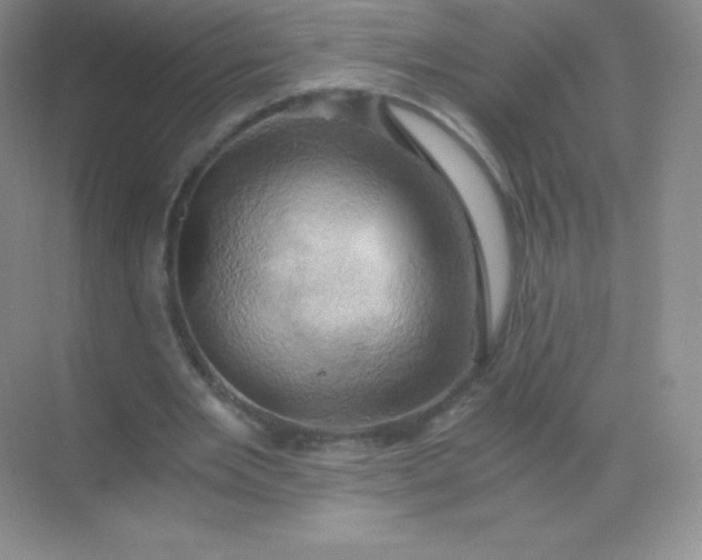 X0000068860485200605192021
