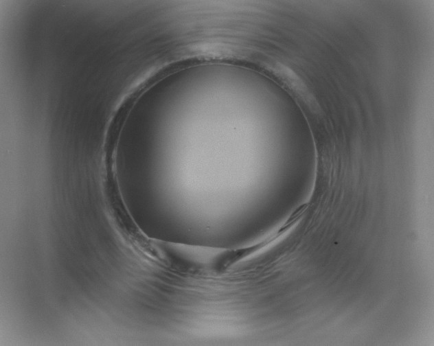 X0000068860488200605192021