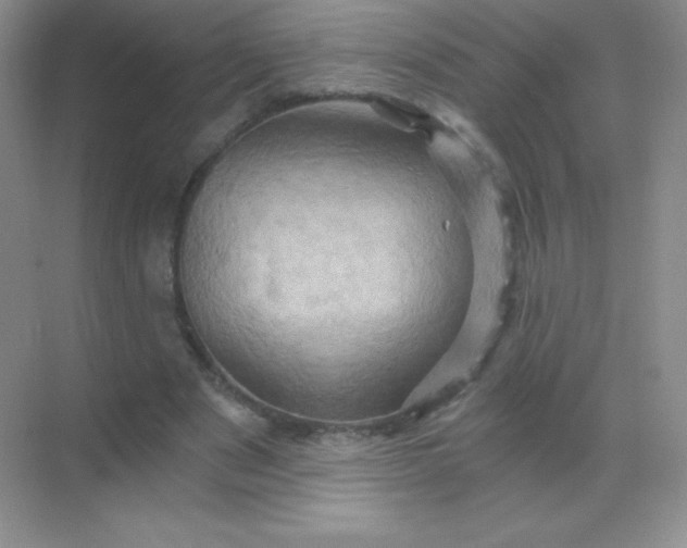 X0000068860489200605192021