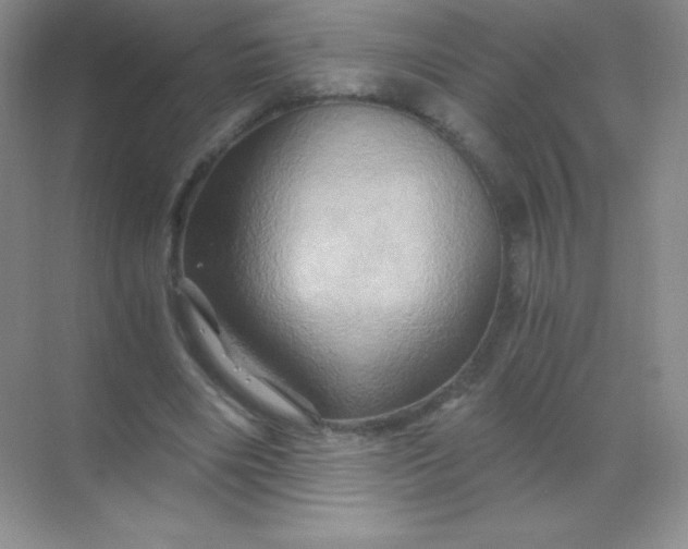 X0000068860490200605192021