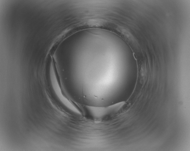 X0000068860492200605192021