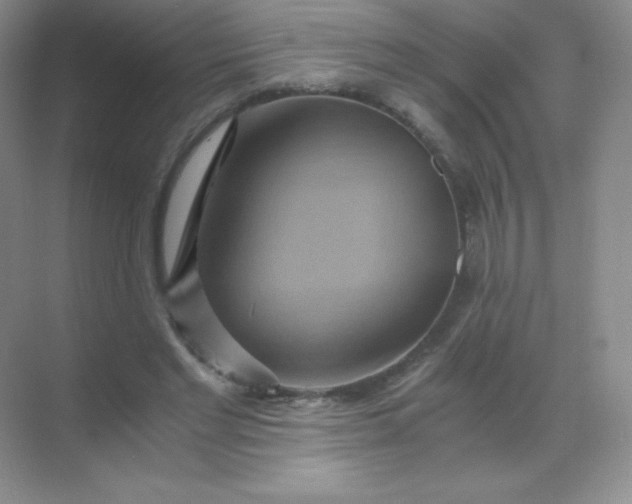 X0000068860493200605192021